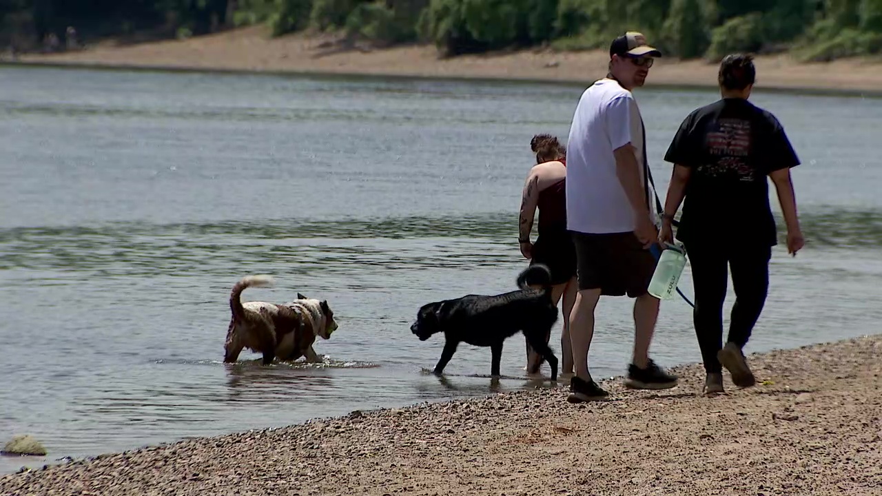 Minnehaha Dog Park ending off-leash use in December despite public outcry — Inver Grove Heights Community news